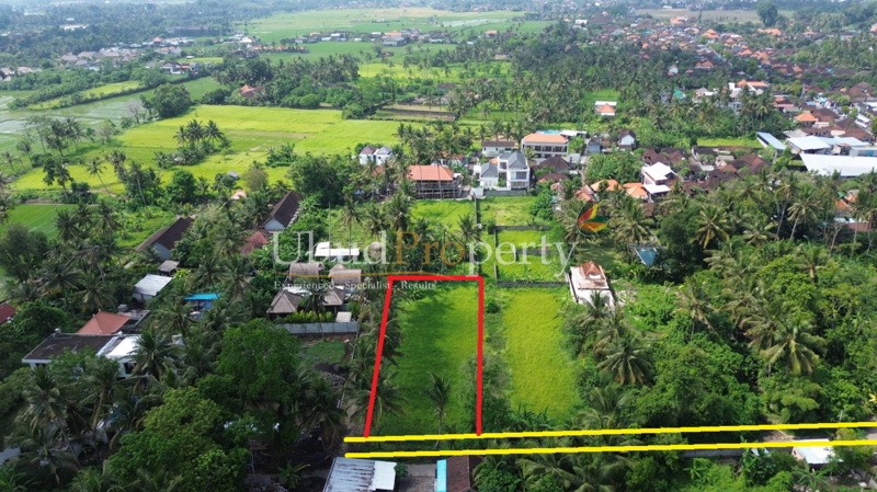 Ubud Property Land For Sale in Ubud Bali